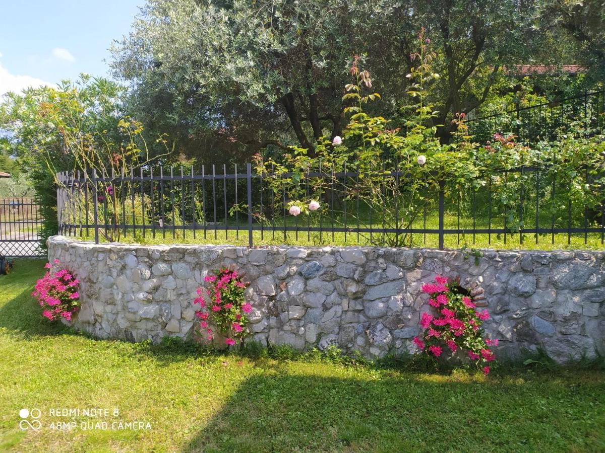 Mary Rose Apartments Oliveto Lario Ngoại thất bức ảnh