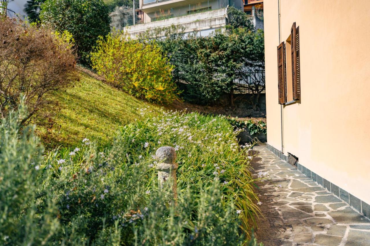 Mary Rose Apartments Oliveto Lario Ngoại thất bức ảnh